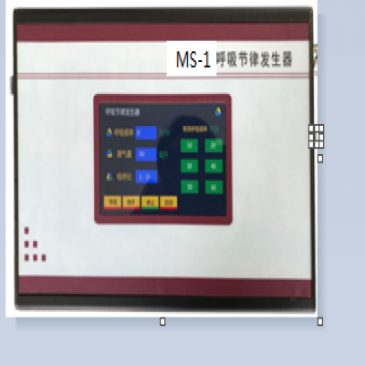 呼吸節(jié)律發(fā)生器